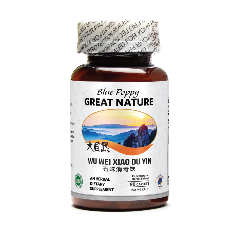 Wu Wei Xiao Du Yin - 90 Tablet