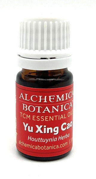 Yu Xing Cao Essential Oil, 5ml