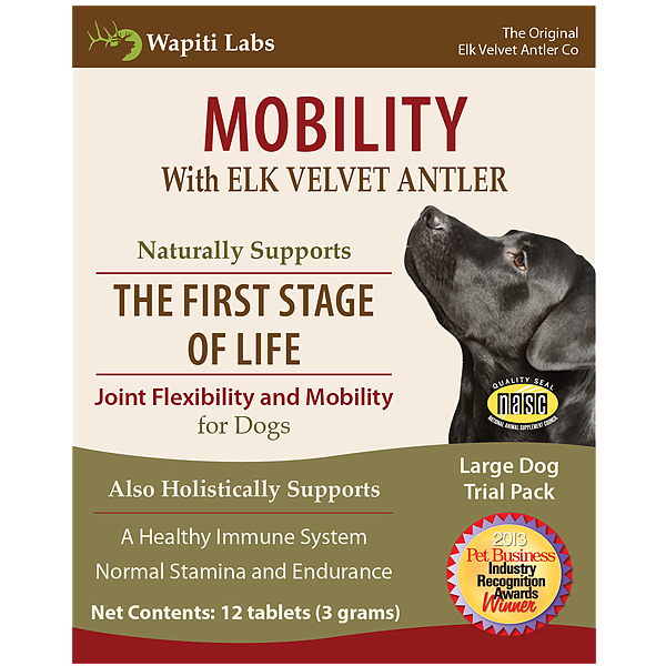 Dog Mobility Trial Pack for Large Dogs