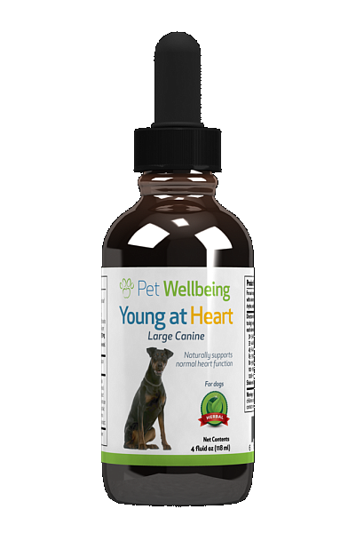 Young at Heart, 4oz for Dogs