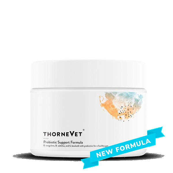Probiotic Support Formula, 60 Soft Chews