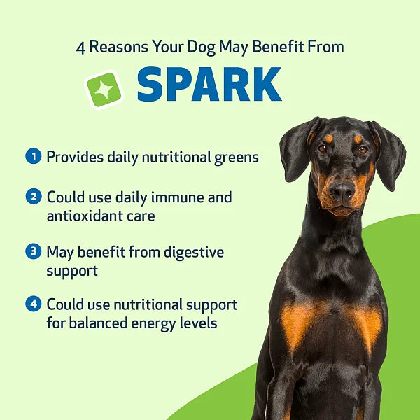 SPARK - Daily Nutritional Greens Supplement for Dogs, 100g - Image 6
