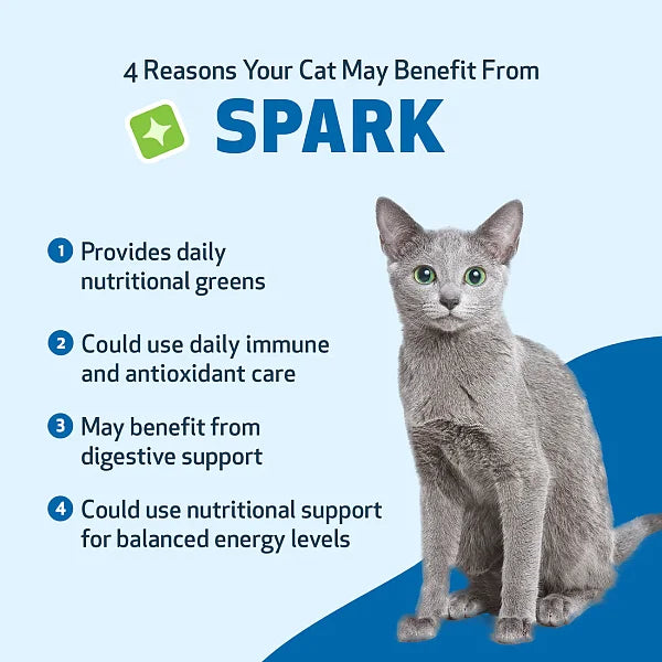 SPARK - Daily Nutritional Greens Supplement for Cats, 100g - Image 6