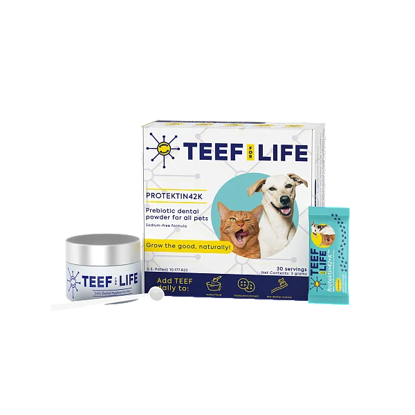 Protektin42K Powder Dental Kit for All Pets, 1pk