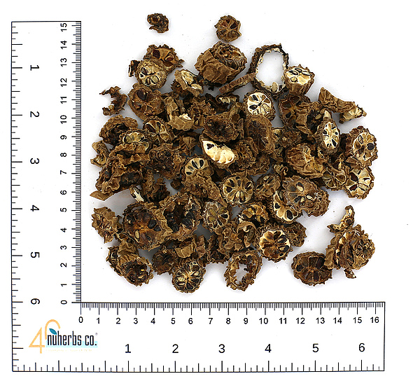 Ba Yue Zha, 1lb