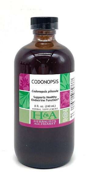 Codonopsis Extract, 8 oz.