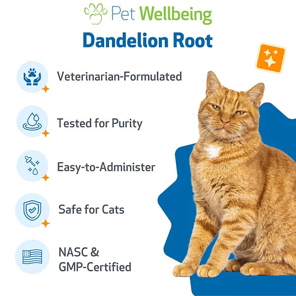 Dandelion Root for Cats, 2oz - Image 5