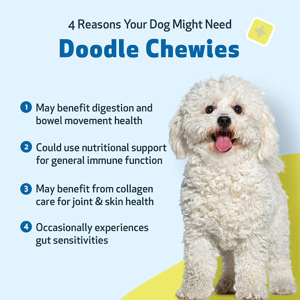 Doodle Chewies, 100ct - Image 7