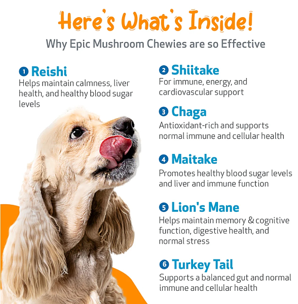Epic Mushroom Chewies for Dogs, 90ct - Image 5