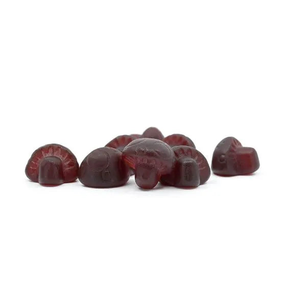 HERBvantage Mushroom Gummies + Sleep - 60 Gummies