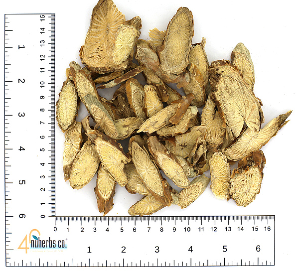 Kuan Jin Teng, 1lb