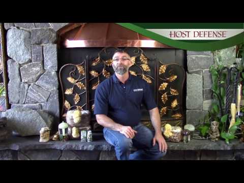 Host Defense Mushrooms MycoBotanicals Brain Capsules