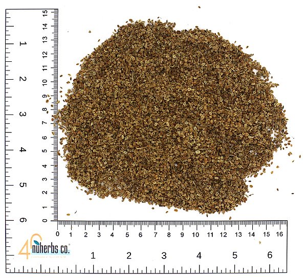 She Chuang Zi, 1lb
