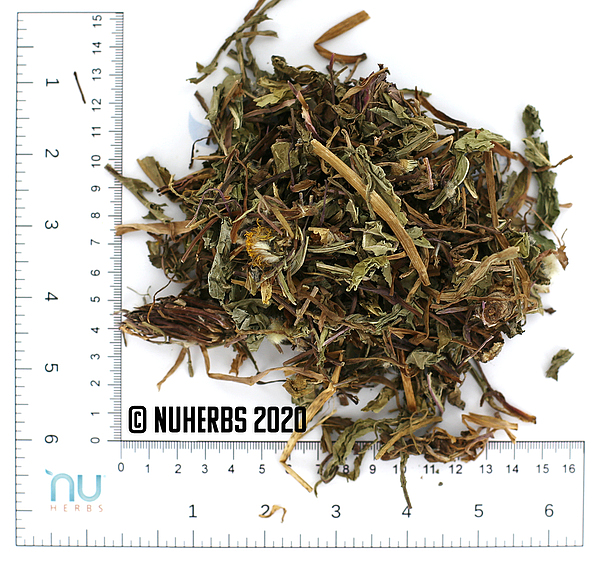 Pu Gong Ying - Certified Organic, 1lb