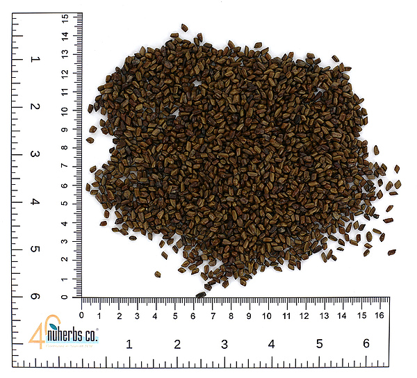 Jue Ming Zi - Certified Organic, 1lb