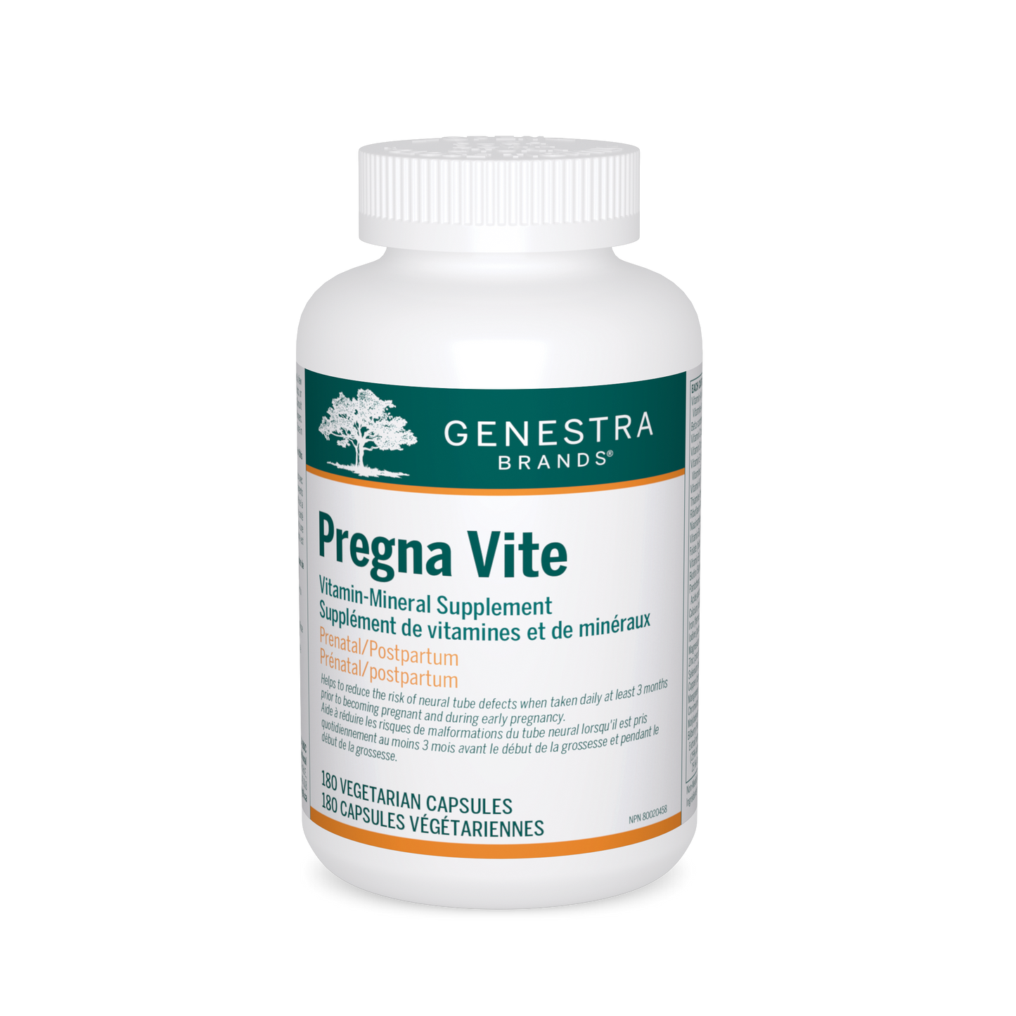 Pregna Vite