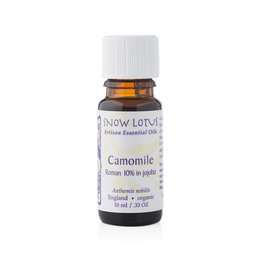 Camomile, Roman (10%) - 10mL