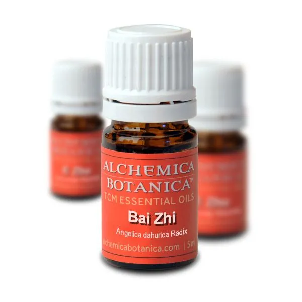 Alchemica Botanica Bai Zhi