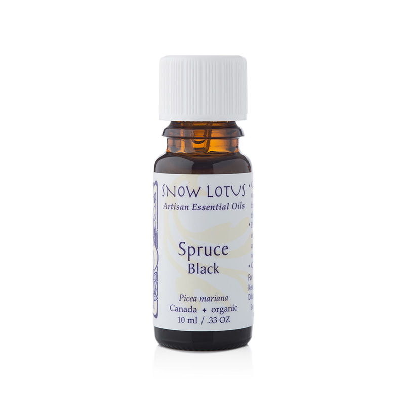 Spruce, black - 10mL