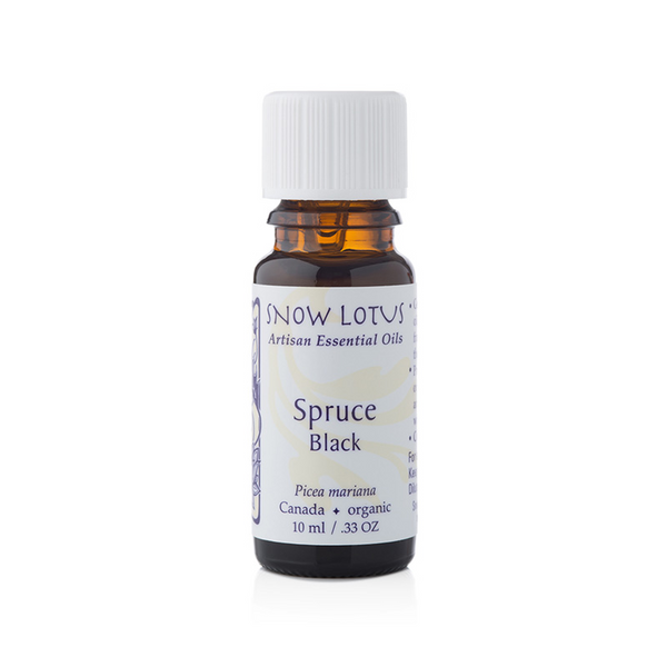Spruce, black - 10mL