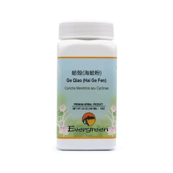 Evergreen Ge Qiao (Hai Ge Fen) - Granules 100g