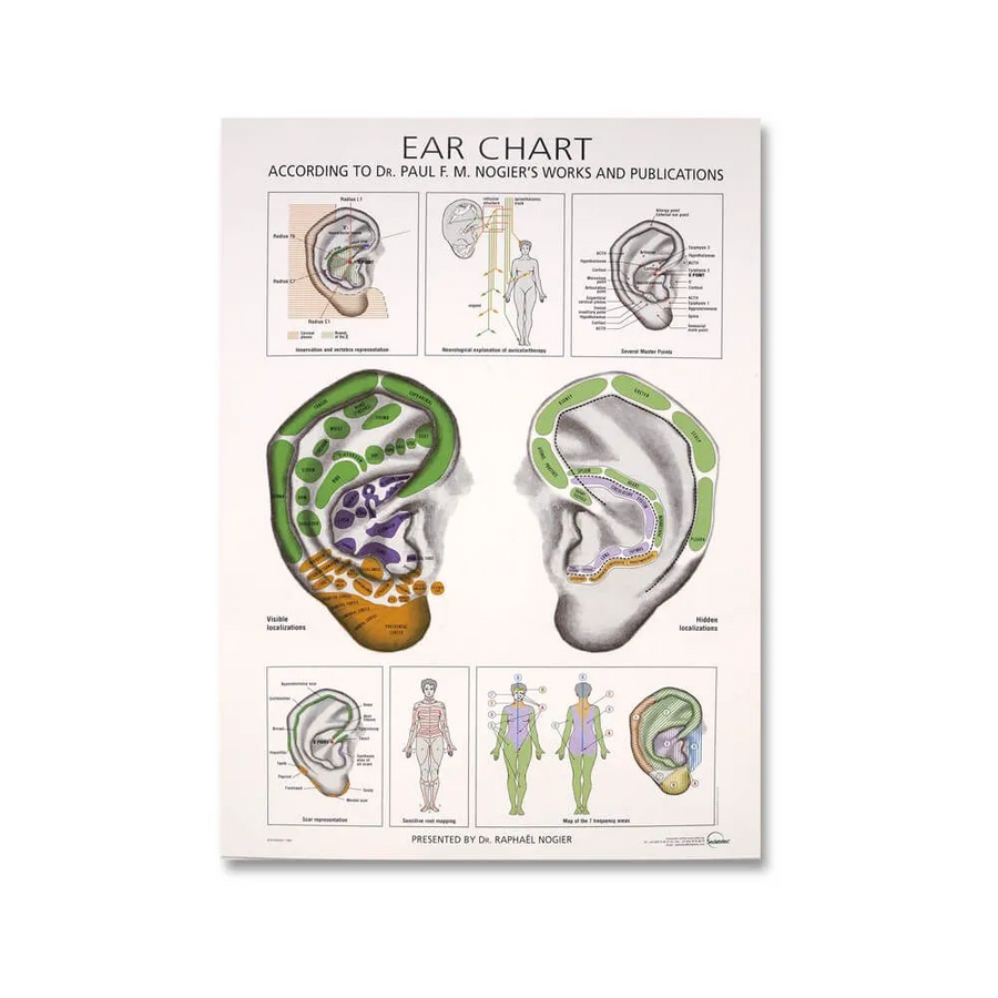 Sedatelec Paul Nogier Ear Desk Chart