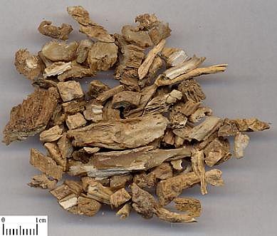 Bai Bu, 1lb