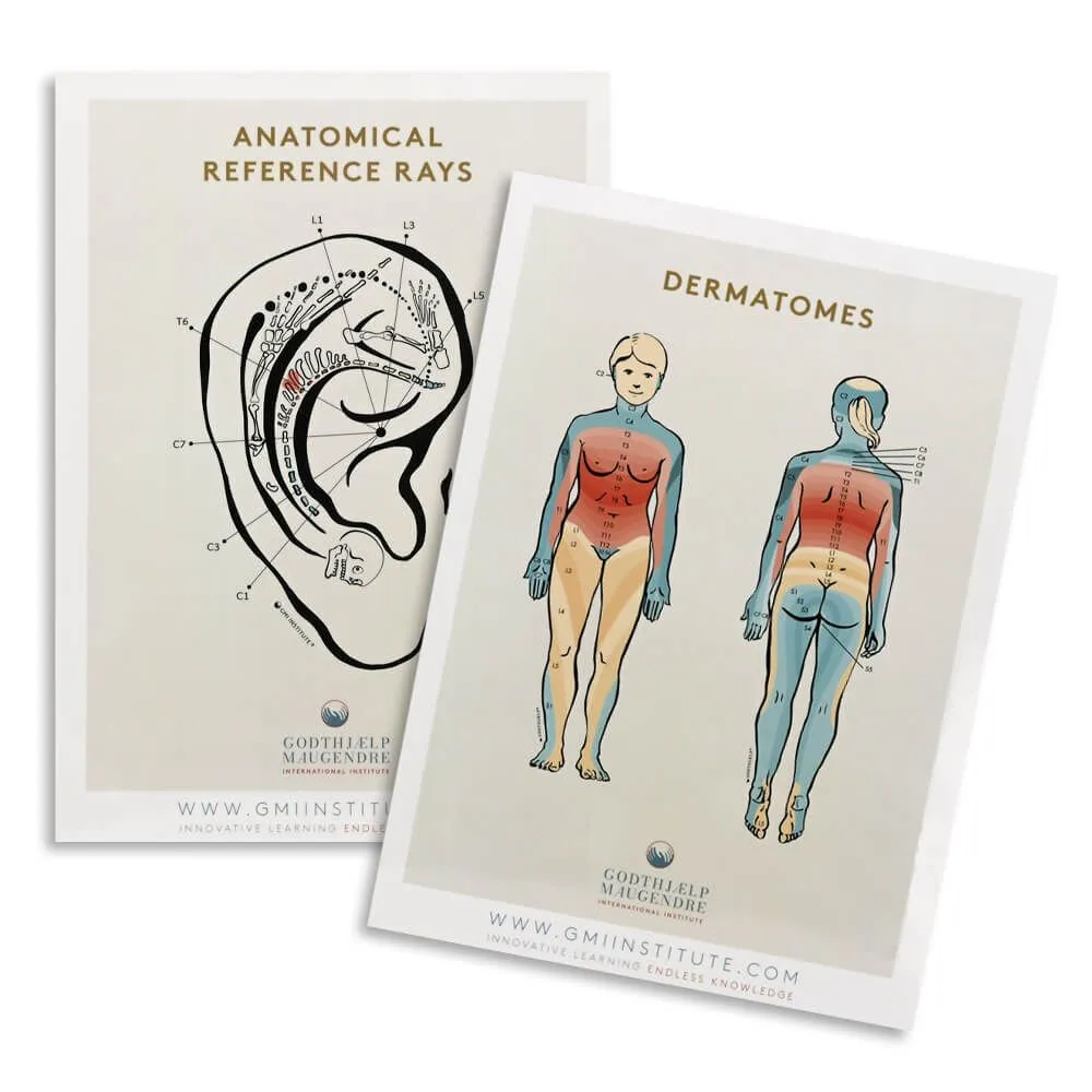 Dermatomes and Anatomical Reference Chart