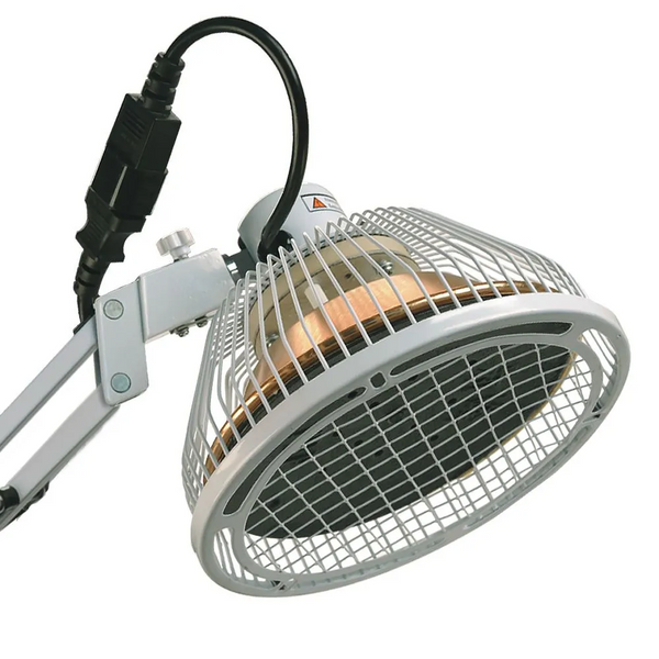 TDP CQ-36 Replacement Head