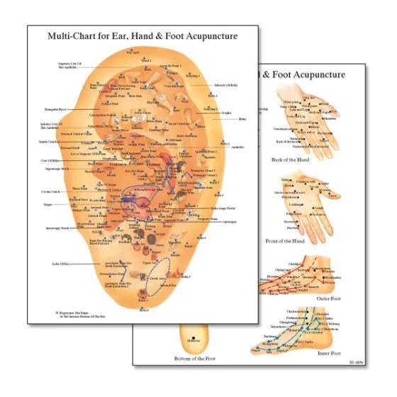 Multi-Chart - Ear/Hand/Foot