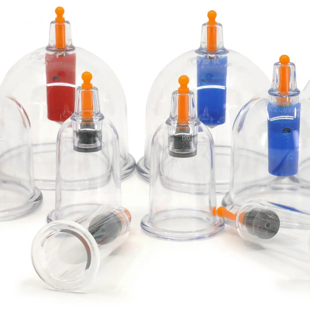 Kang Zhu Vacuum Cup Set - 12 Cups
