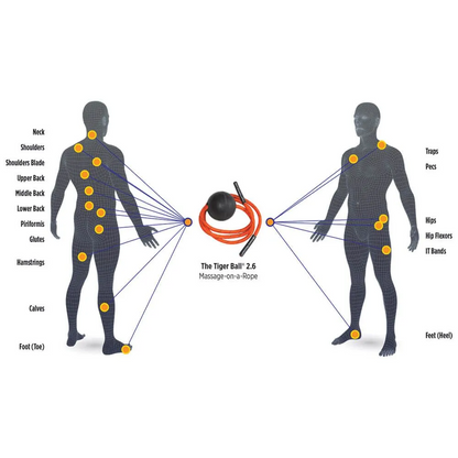 Tiger Tail Tiger Ball 2.6