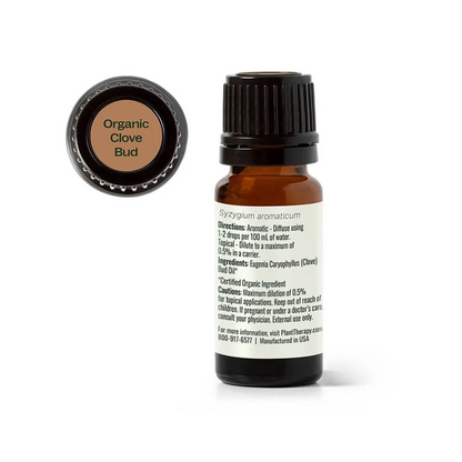 Plant Therapy Organic Clove Bud Essential Oil