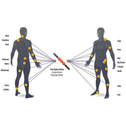 Tiger Tail Spiky Acupressure Roller