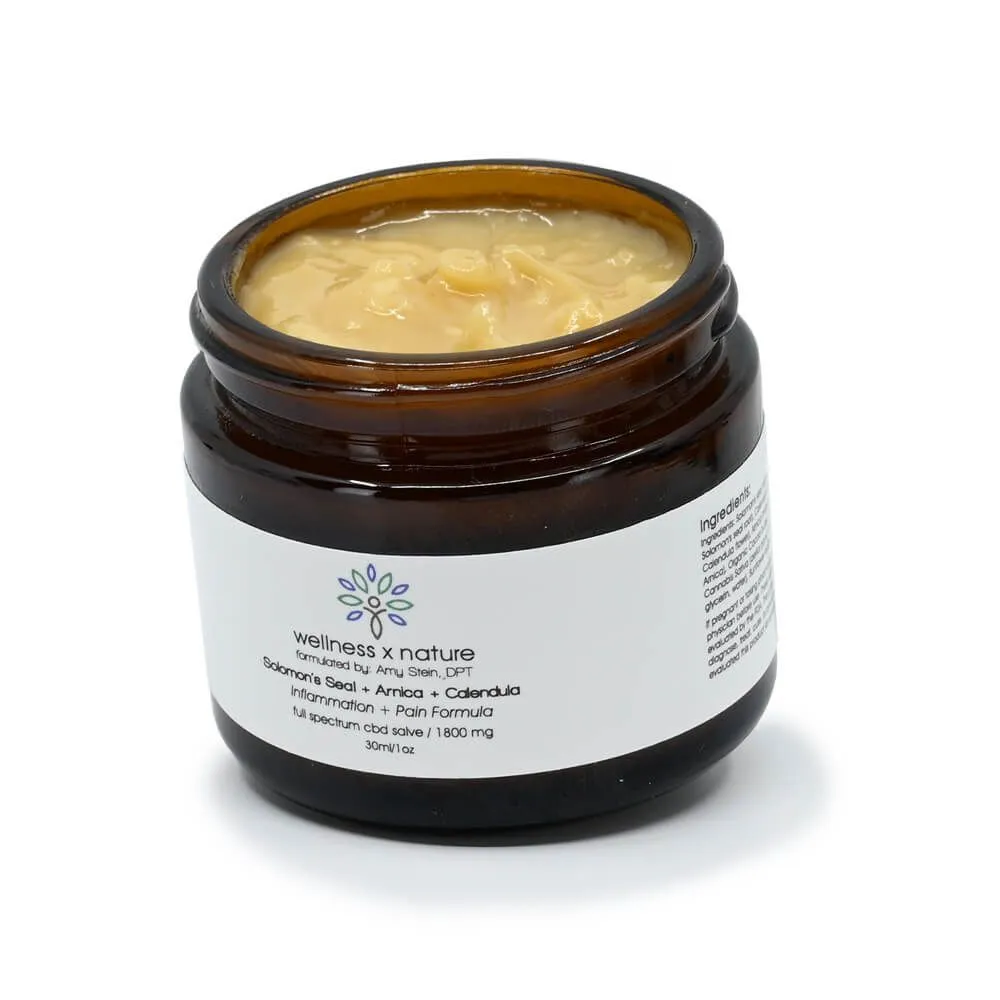 wellness x nature Salve - Inflammation + Pain Formula - 1.7oz/3000mg