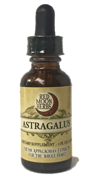 Astragalus Root, 1oz