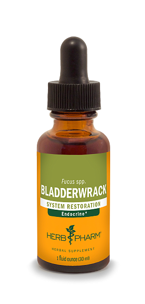 Bladderwrack Extract, 1 oz