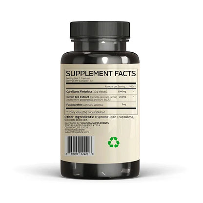 Caralluma, 60ct - Image 3