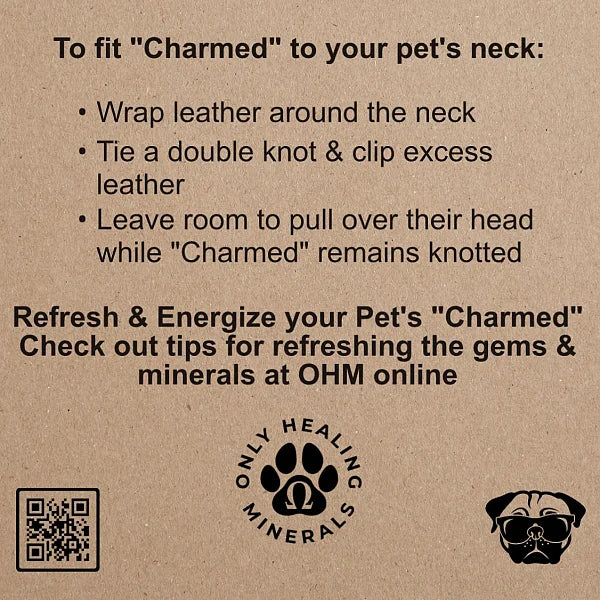 Charmed Pet Necklace, Amazonite - Image 3