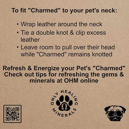 Charmed Pet Necklace, Amazonite - Image 3