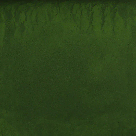 Chlorella Powder - (Organic) Cracked Cell, 1lb