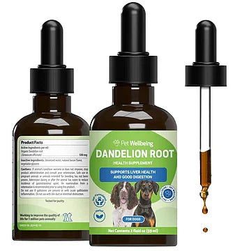 Dandelion Root for Dogs, 2oz