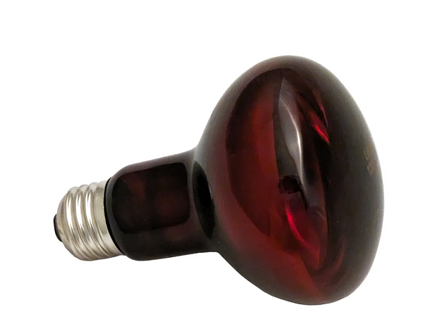 IRed Red-Infrared Bulb, 53W