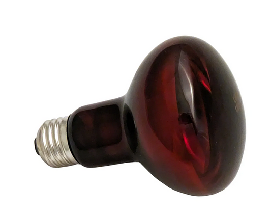 IRed Red-Infrared Bulb, 53W