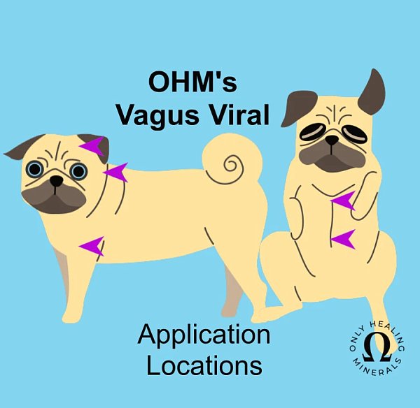 Vagus Viral, K9 Topical Mineral - Image 2