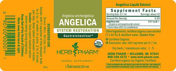 Angelica Extract, 1 oz - Image 2