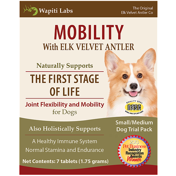 Dog Mobility Trial Pack for Small to Medium Dogs