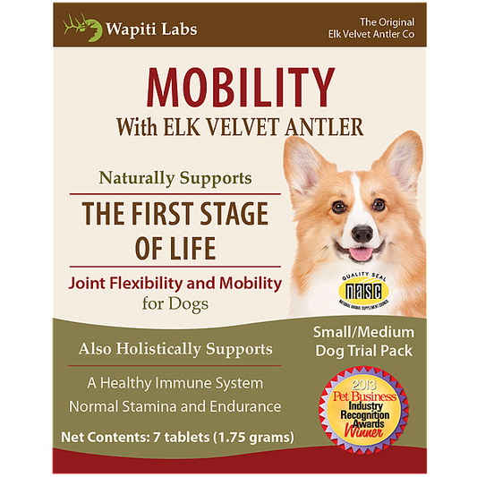 Dog Mobility Trial Pack for Small to Medium Dogs