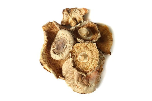 Shiitake Mushroom (Xiang Xun) - Organic, 1 lb