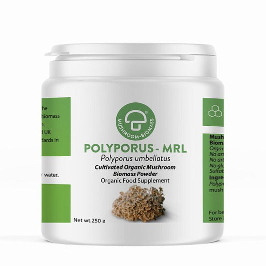 Polyporus Powder [ EXPIRES 12-2026 ]